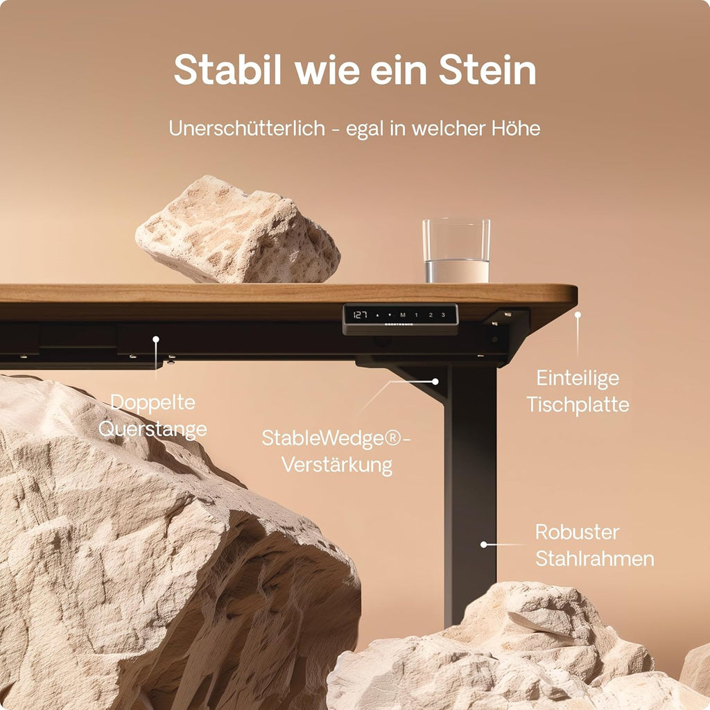Desktronic HomePro Höhenverstellbarer Schreibtisch Elektrisch – Ergonomischer Steh Sitz Schreibtisch mit Dual Motor, Touchscreen, USB-A & USB-C